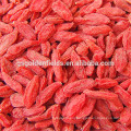 2017 new crop driedgojiberry from china hot sales for exporting